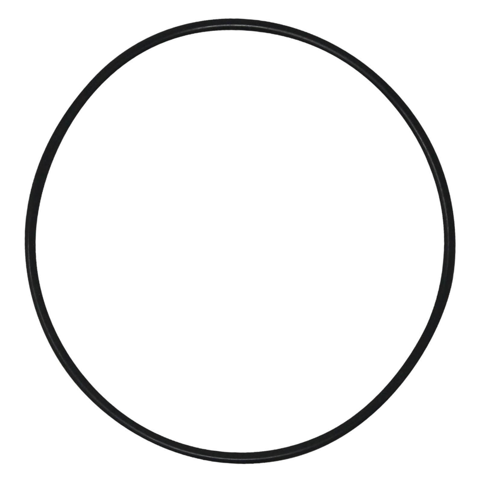 Leakproof Pool Filter Tank O R - Tank O-Ring Seal review and price