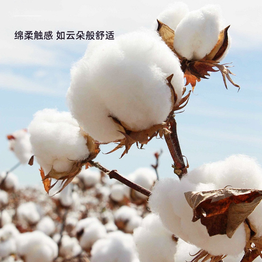 5.0/3.0/2.5mm Rubber Head Orga - Cotton Wick Organic review and price